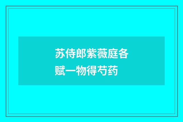 苏侍郎紫薇庭各赋一物得芍药