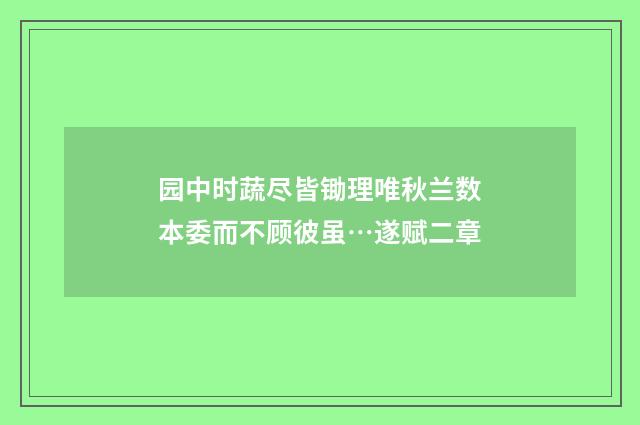 园中时蔬尽皆锄理唯秋兰数本委而不顾彼虽…遂赋二章