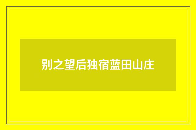 别之望后独宿蓝田山庄