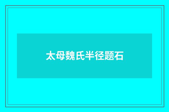 太母魏氏半径题石