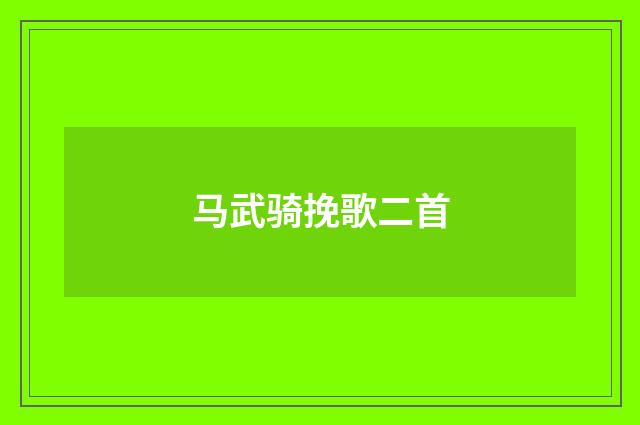 马武骑挽歌二首