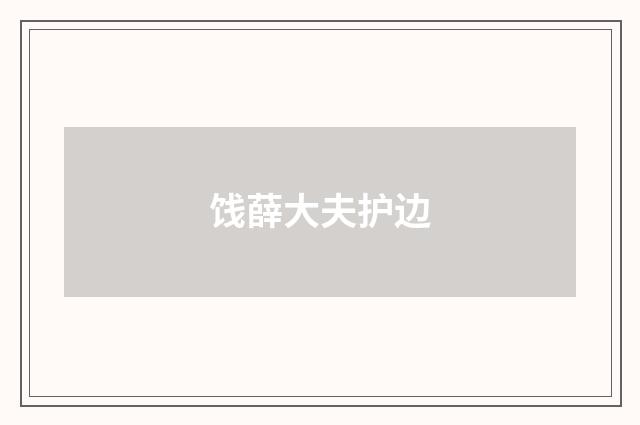 饯薛大夫护边