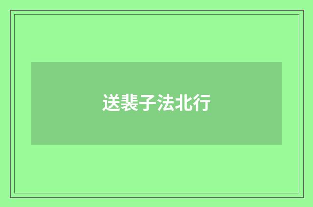 送裴子法北行