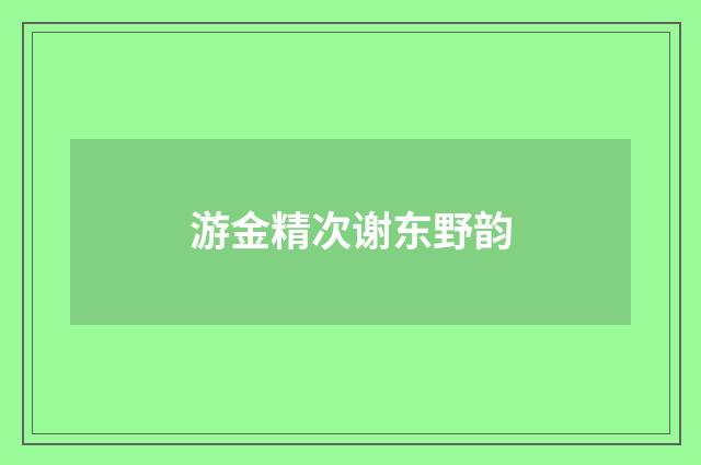 游金精次谢东野韵