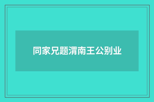 同家兄题渭南王公别业