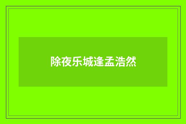除夜乐城逢孟浩然