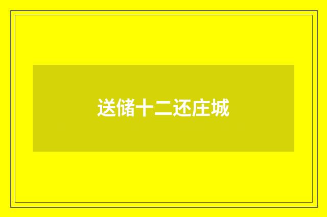 送储十二还庄城