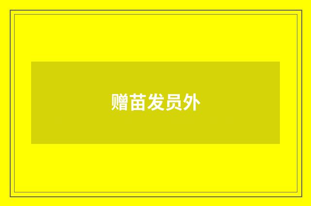 赠苗发员外