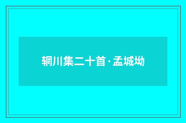 辋川集二十首·孟城坳