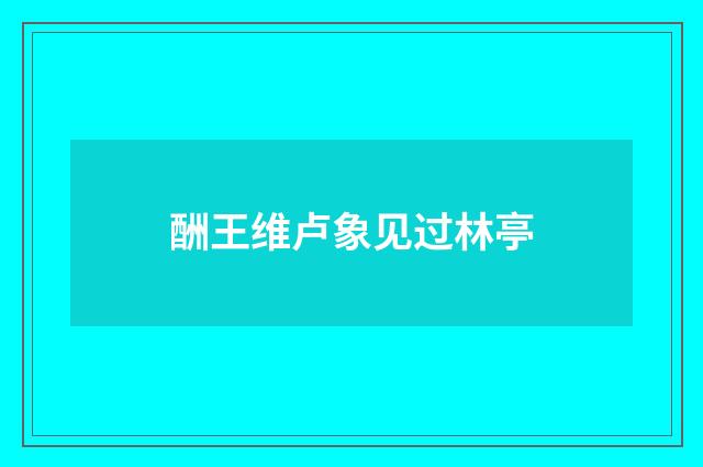 酬王维卢象见过林亭