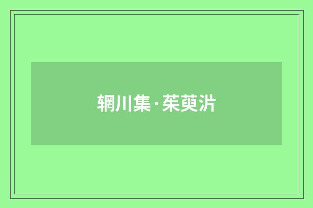 辋川集·茱萸沜