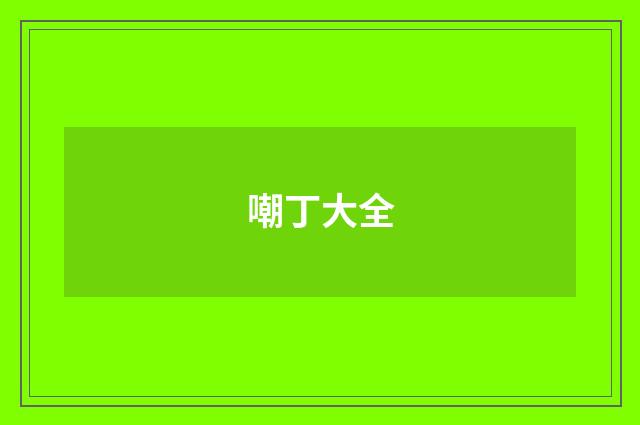 嘲丁大全