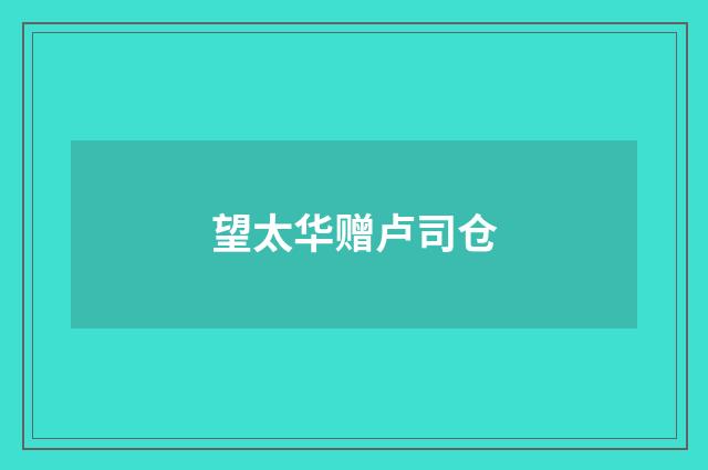 望太华赠卢司仓