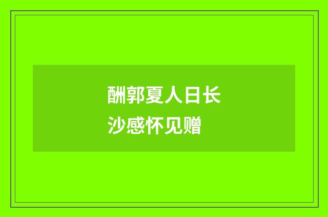 酬郭夏人日长沙感怀见赠