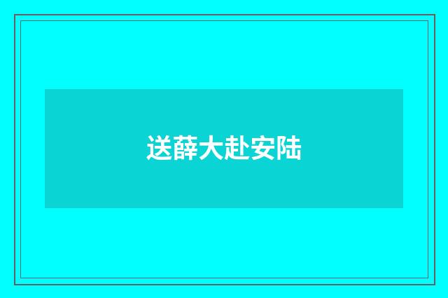 送薛大赴安陆