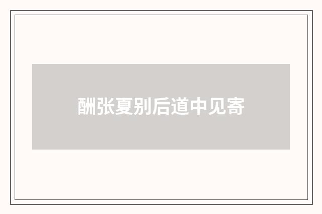 酬张夏别后道中见寄
