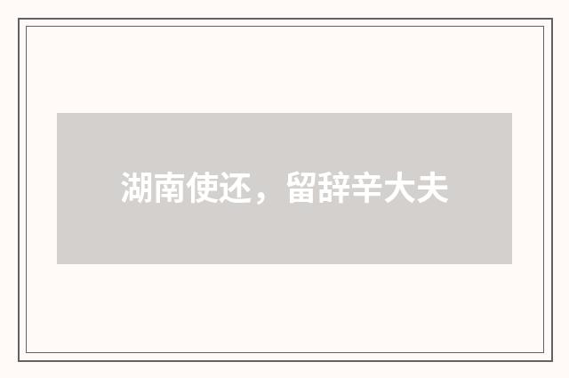 湖南使还，留辞辛大夫