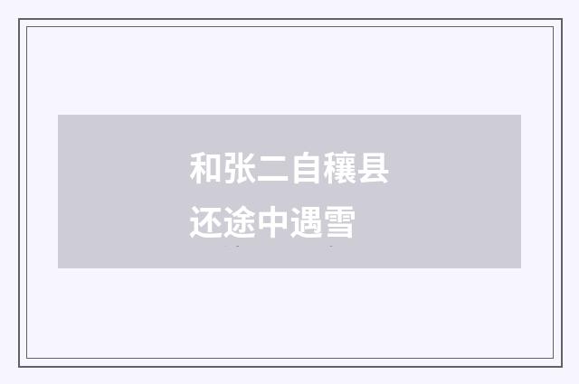 和张二自穰县还途中遇雪