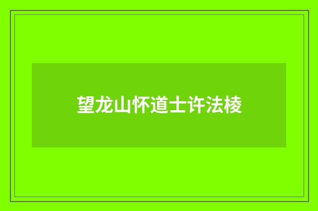 望龙山怀道士许法棱