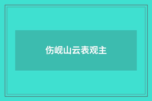 伤岘山云表观主