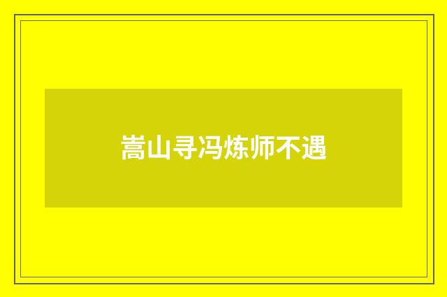 嵩山寻冯炼师不遇
