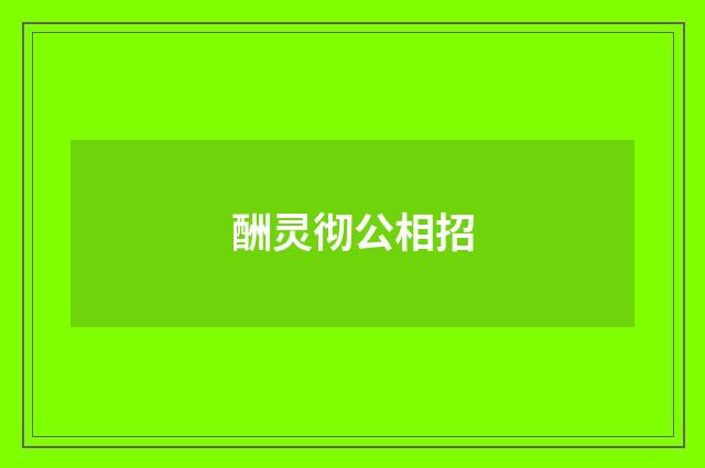 酬灵彻公相招