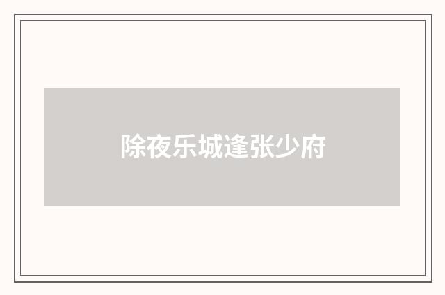 除夜乐城逢张少府