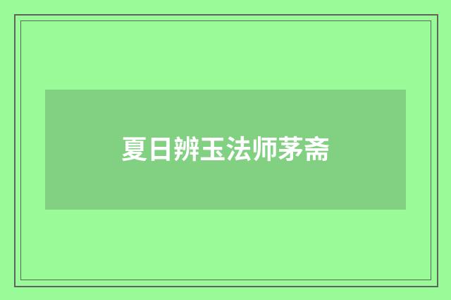 夏日辨玉法师茅斋