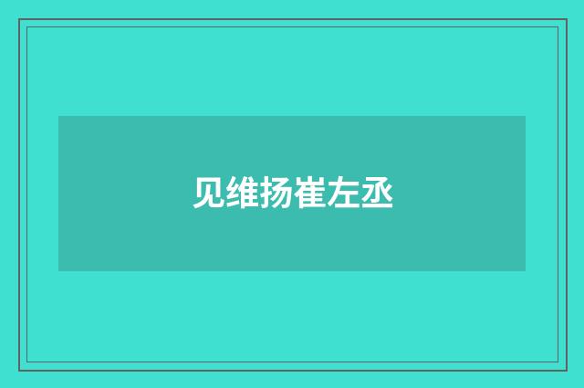 见维扬崔左丞
