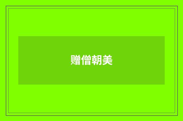 赠僧朝美
