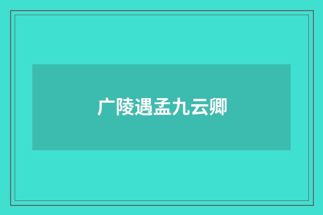 广陵遇孟九云卿