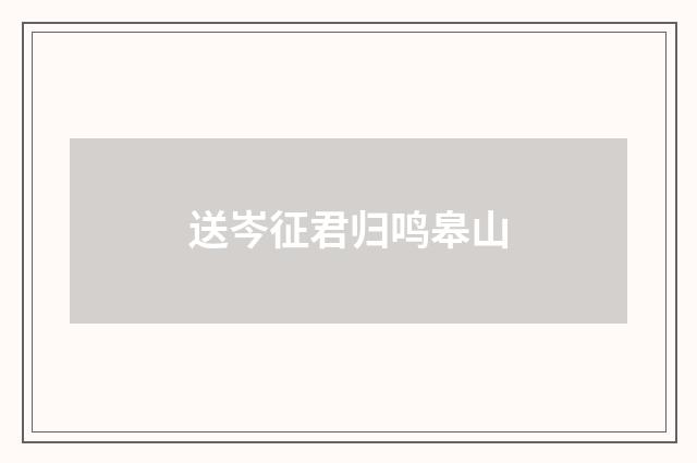 送岑征君归鸣皋山