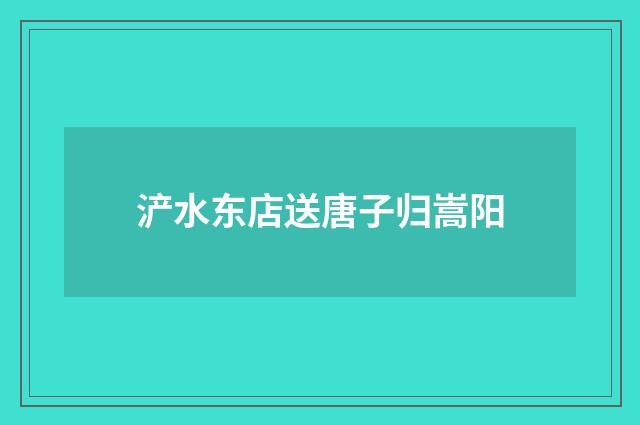 浐水东店送唐子归嵩阳