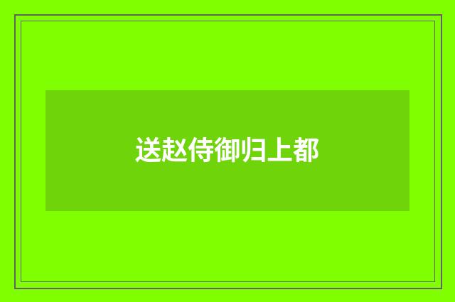 送赵侍御归上都