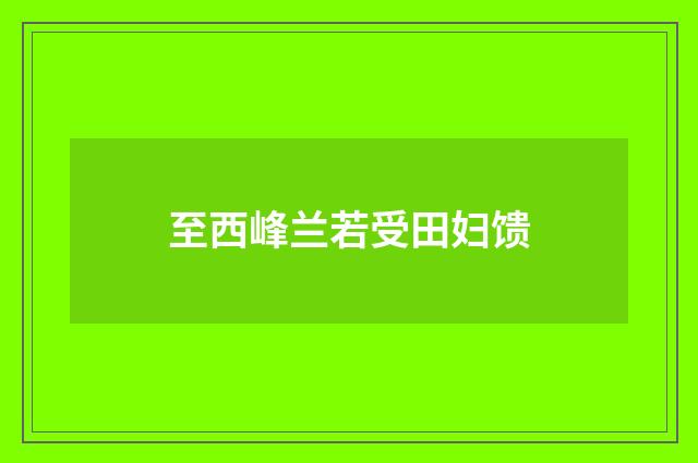 至西峰兰若受田妇馈