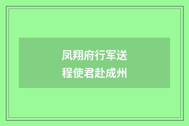 凤翔府行军送程使君赴成州
