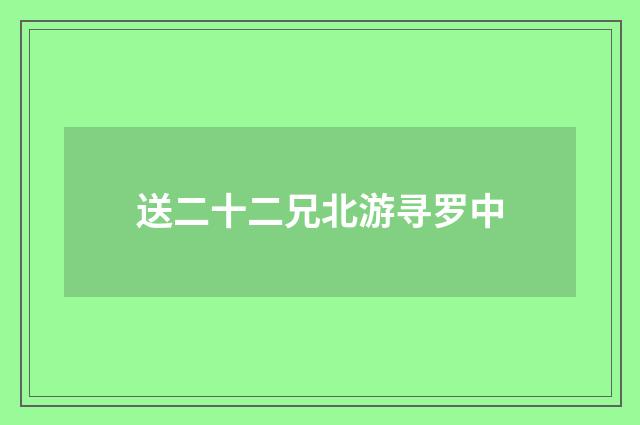 送二十二兄北游寻罗中