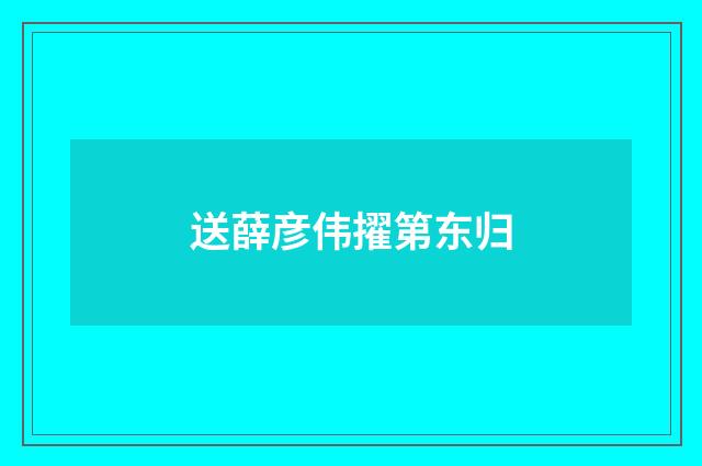 送薛彦伟擢第东归