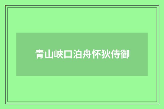 青山峡口泊舟怀狄侍御