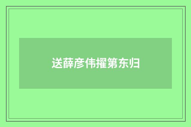 送薛彦伟擢第东归
