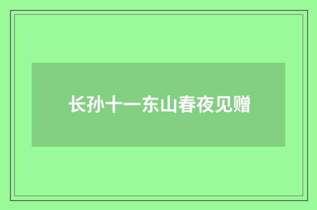 长孙十一东山春夜见赠