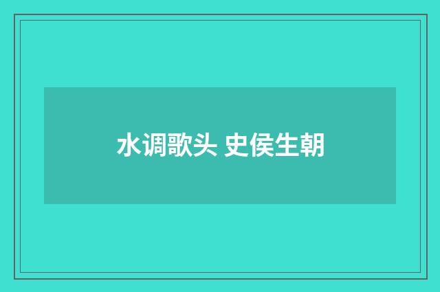 水调歌头 史侯生朝