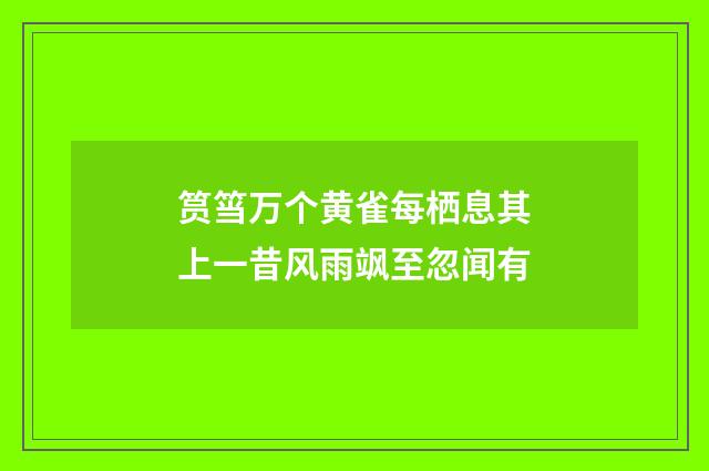 筼筜万个黄雀每栖息其上一昔风雨飒至忽闻有