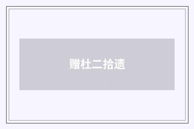 赠杜二拾遗