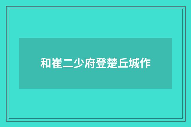 和崔二少府登楚丘城作