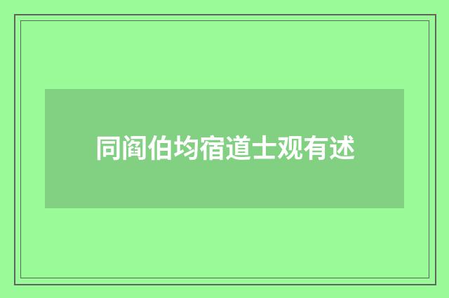同阎伯均宿道士观有述