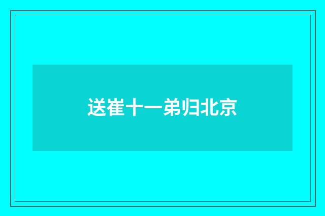 送崔十一弟归北京