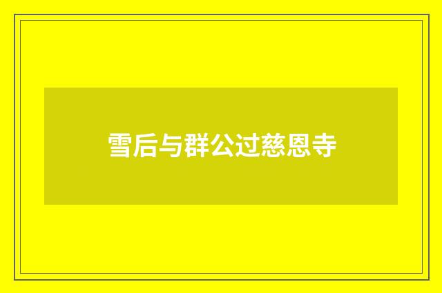 雪后与群公过慈恩寺