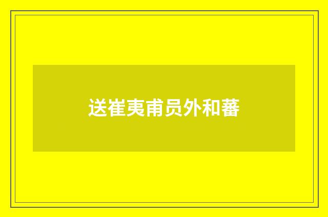 送崔夷甫员外和蕃