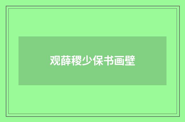 观薛稷少保书画壁